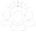icon introduce