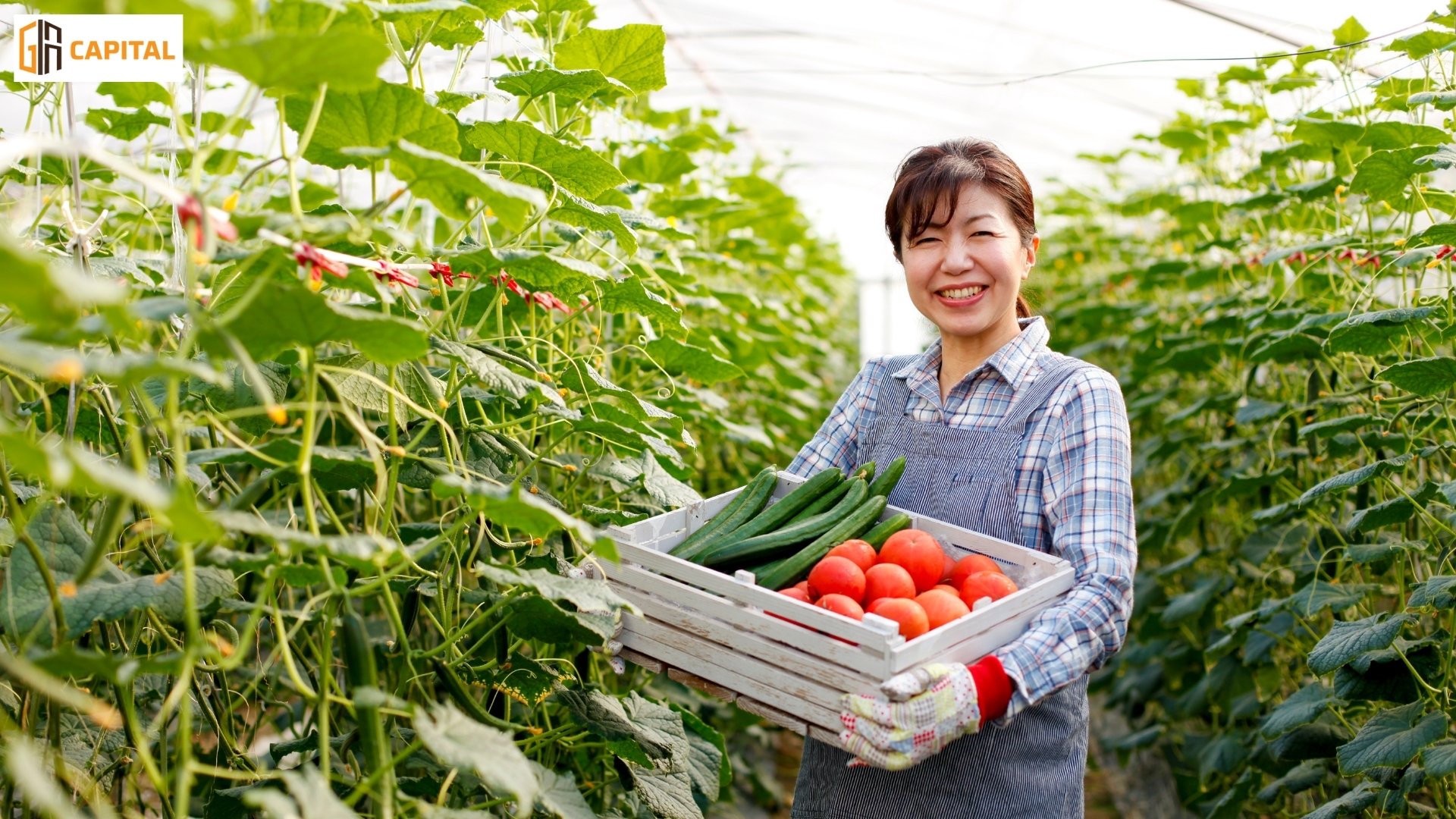 Các ngành được định cư tại Mỹ phổ biến hiện nay